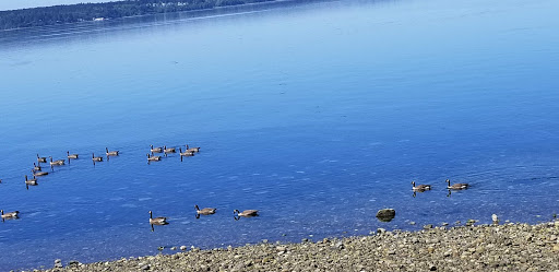 Golf Course «The Home Course», reviews and photos, Golf House Rd, DuPont, WA 98327, USA