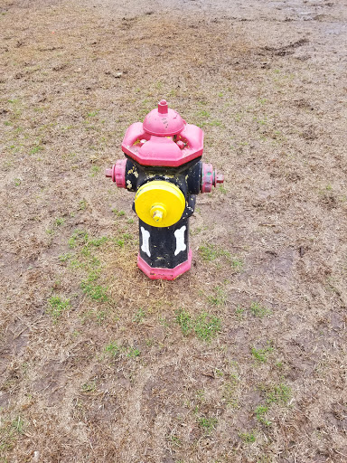 Dog Park «MacArthur Dog Park», reviews and photos, 601 E 9th St, Little Rock, AR 72202, USA