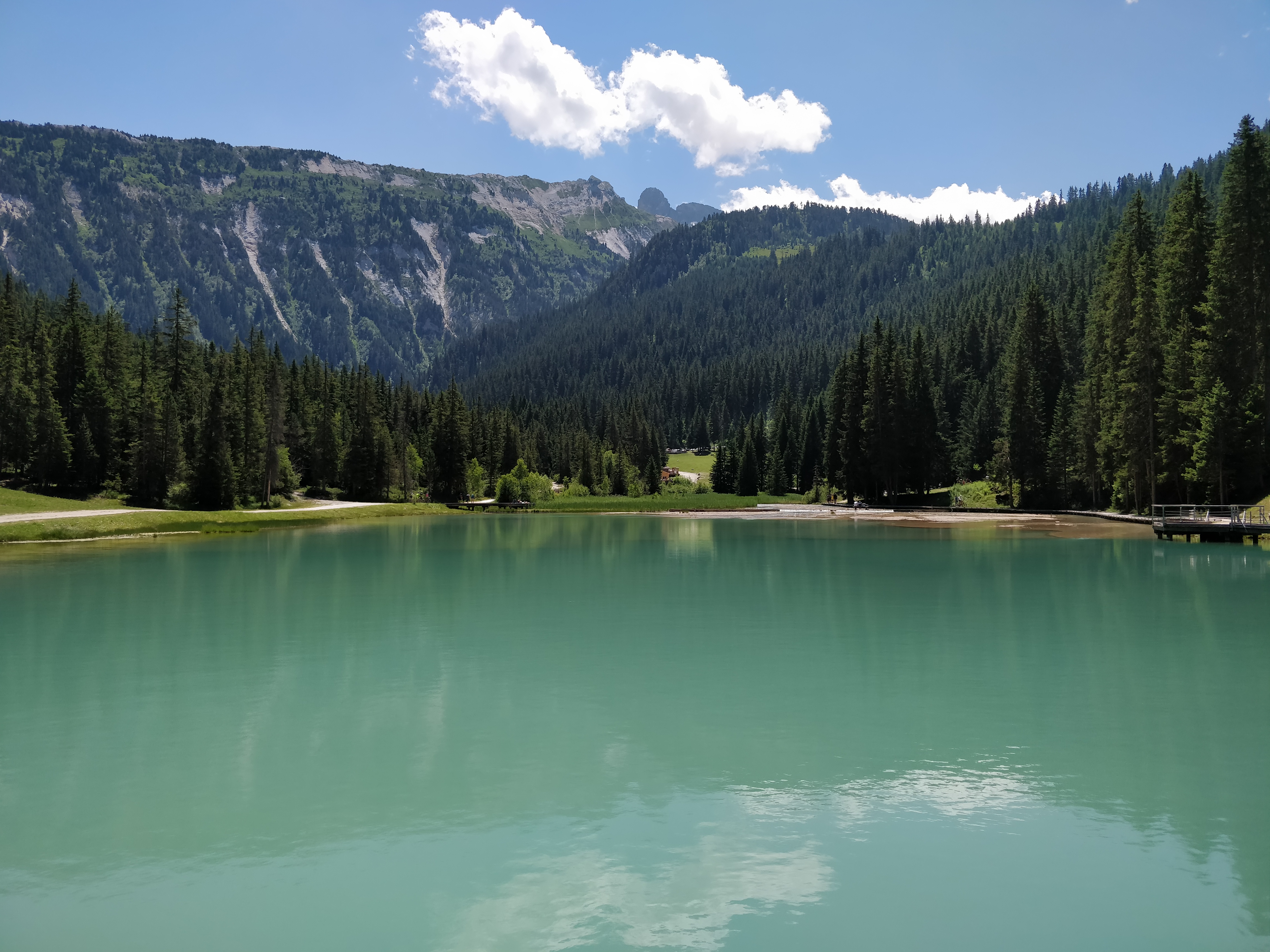 Photo n° 2 de l'avis de M.a fait le 21/07/2019 à 08:32