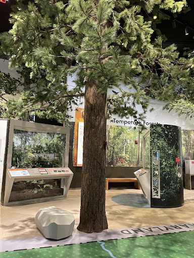 Museum «Delaware Museum of Natural History», reviews and photos, 4840 Kennett Pike, Wilmington, DE 19807, USA