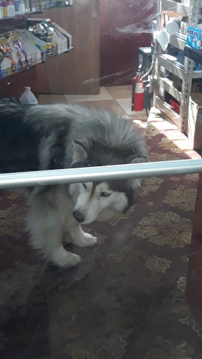 Liquor Store «Vegas Liquor & Wine Shop», reviews and photos, 8024 Greenfield Rd, Detroit, MI 48228, USA