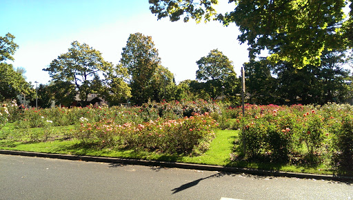 Coffee Shop «Palio Espresso and Dessert House», reviews and photos, 1996 SE Ladd Ave, Portland, OR 97214, USA