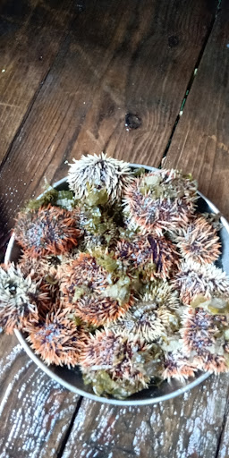 Top 20 cửa hàng akemi Huyện Lý Sơn Quảng Ngãi 2022