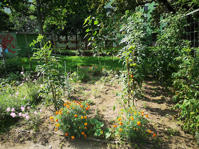 Makkosházi közösségi kert - Szeged