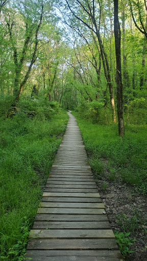 Nature Preserve «Clyde Shepherd Nature Preserve», reviews and photos, 2580 Pine Bluff Dr, Decatur, GA 30033, USA
