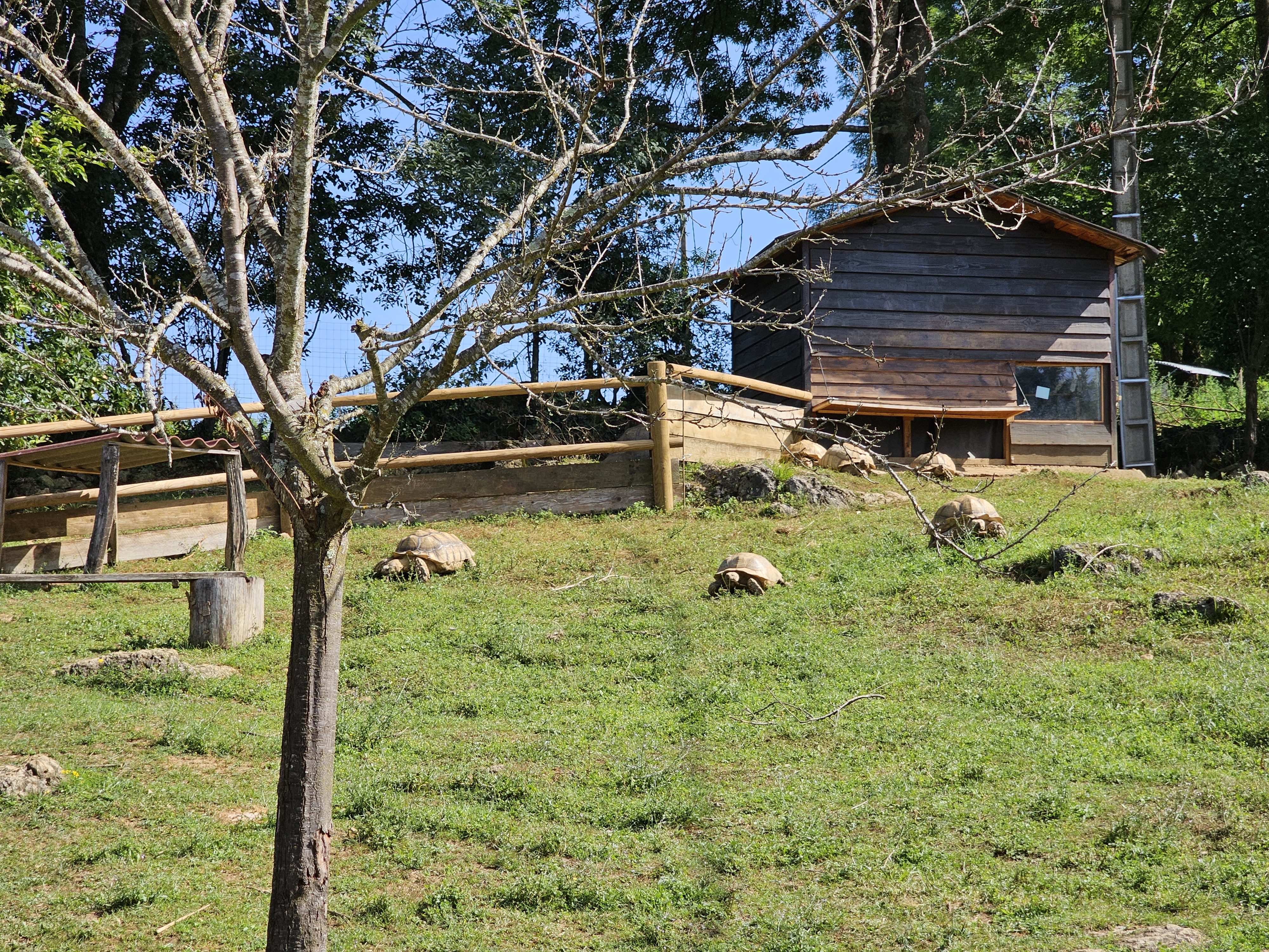 Photo n° 5 de l'avis de Padawan. fait le 17/07/2023 à 20:11