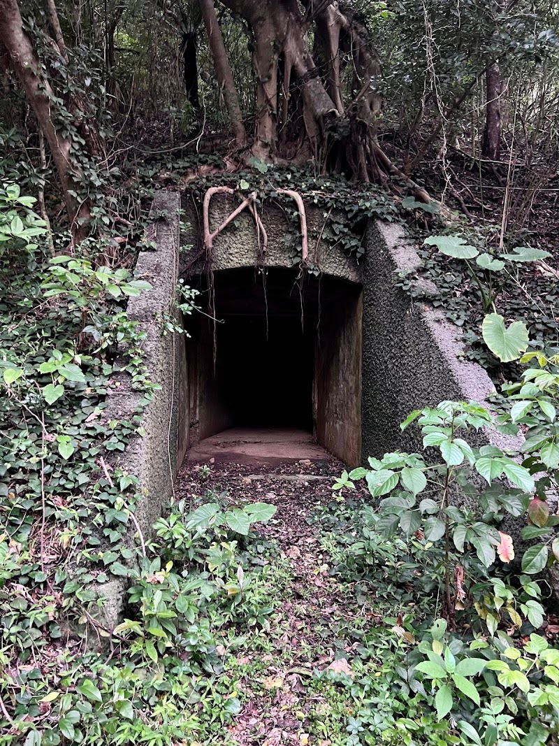 Underground bunker ruins