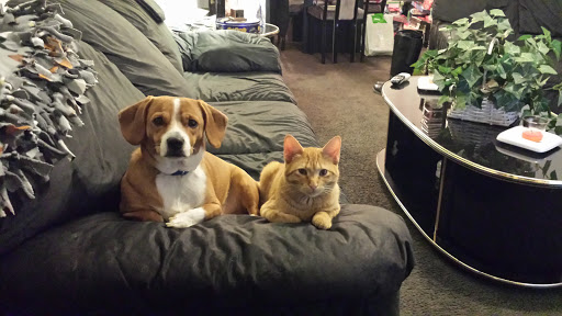 Park «Davis Park», reviews and photos, 5427 W Division St, Chicago, IL 60651, USA