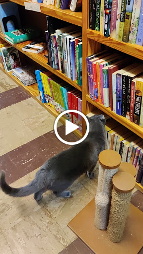 Used Book Store «Book Buyers», reviews and photos, 1306 The Plaza, Charlotte, NC 28205, USA