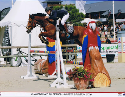 Pôle Equestre de Champagne à Aÿ-Champagne