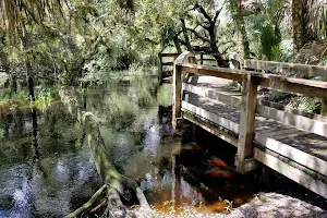 Myakkahatchee Creek Environmental Park image