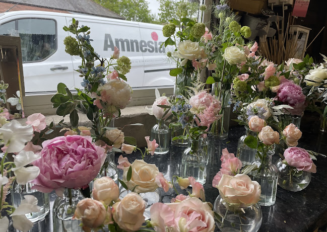 Reviews of Amnesia Flowers in Colchester - Florist