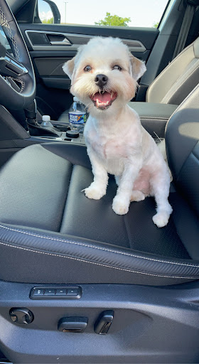 Pet Supply Store «Petco Animal Supplies», reviews and photos, 8909 Branch Ave d, Clinton, MD 20735, USA