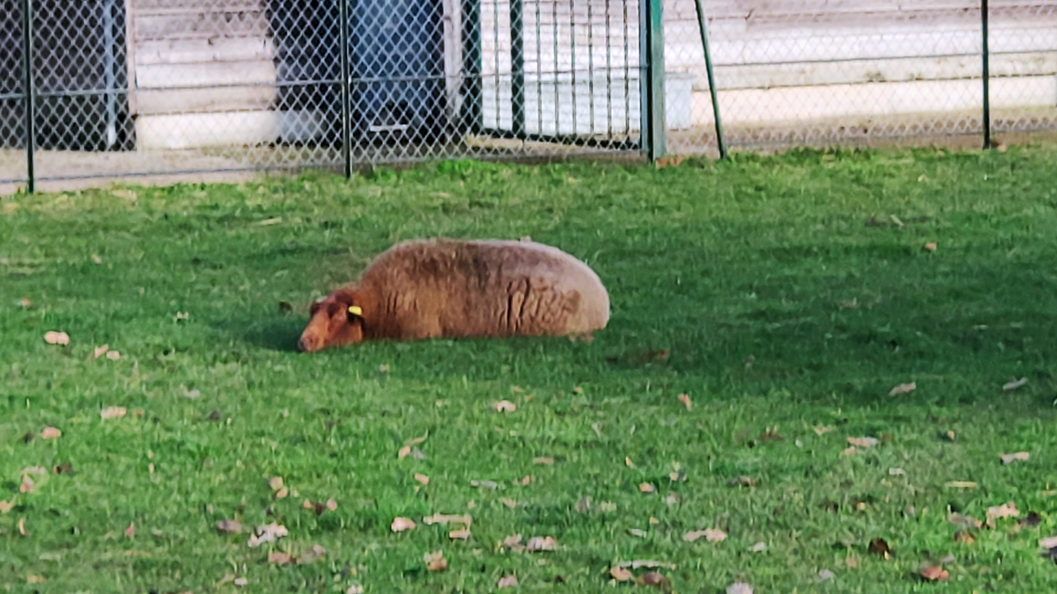 Photo n° 6 de l'avis de CYRIL.U fait le 31/12/2020 à 13:47