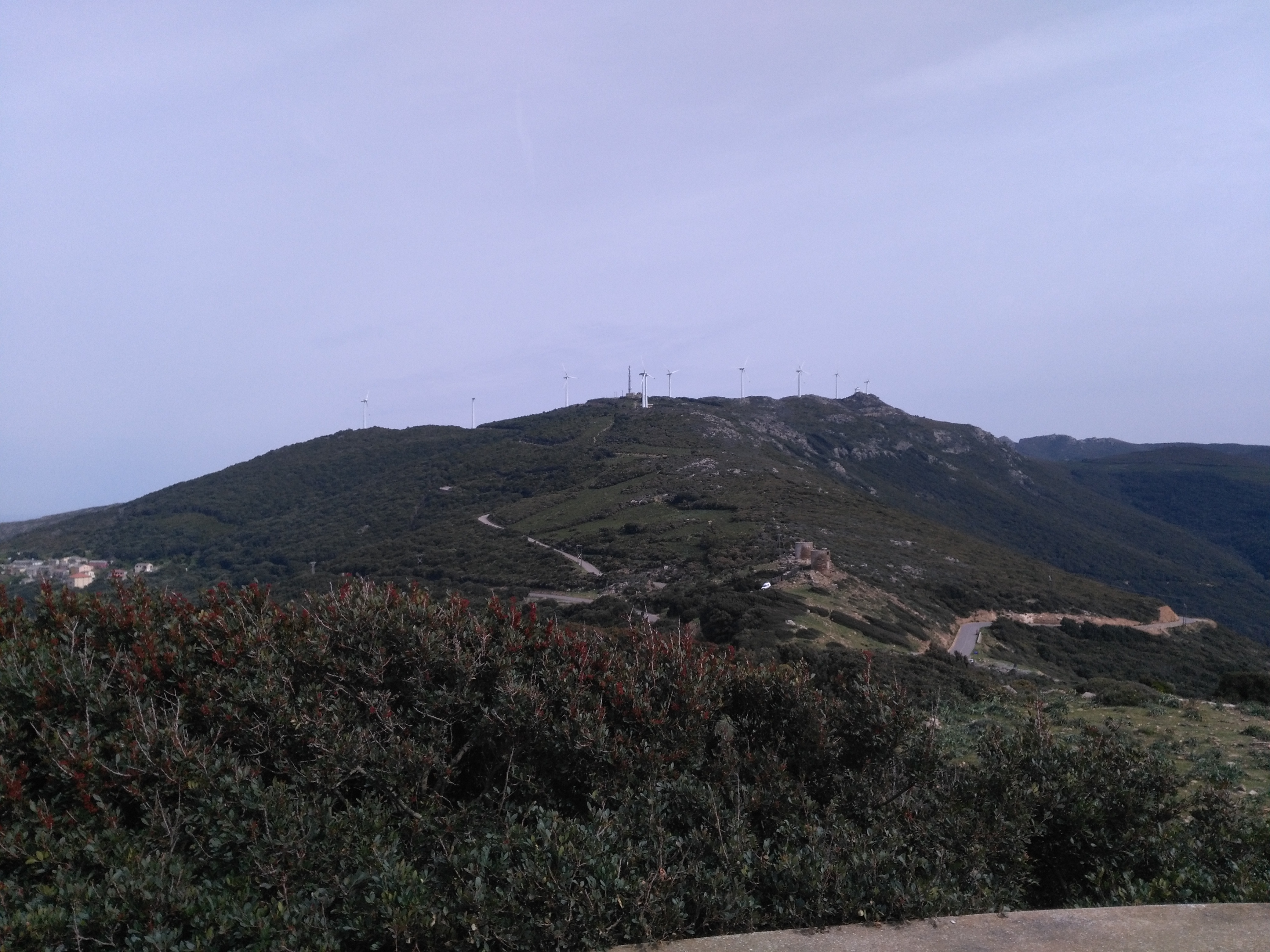 Photo n° 4 de l'avis de Marie.r fait le 21/04/2019 à 19:20