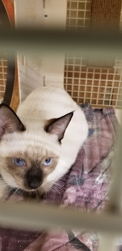 Pet Supply Store «Petco Animal Supplies», reviews and photos, 1753 St Lucie W Blvd, Port St Lucie, FL 34986, USA