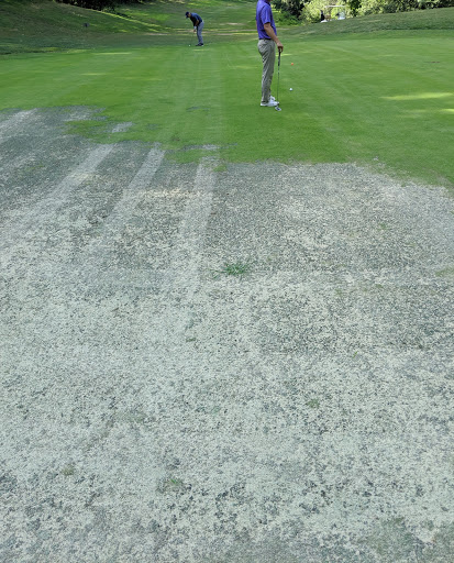 State Park «Leo J. Martin Memorial Golf Course», reviews and photos, 190 Park Rd, Weston, MA 02493, USA