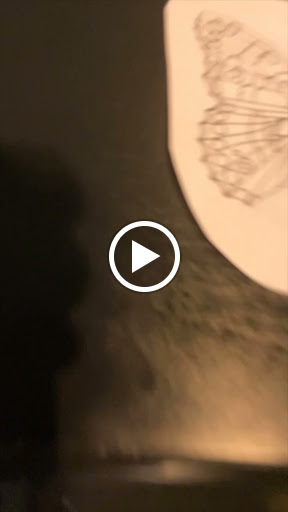 Tattoo Shop «Fallen Sparrow Tattoo Co», reviews and photos, 5049 W Irlo Bronson Memorial Hwy, Kissimmee, FL 34746, USA