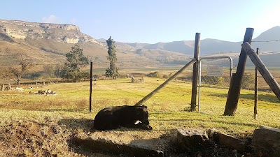 Photos of De Molen Farm