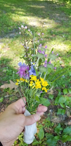 Park «Winding Hills Park», reviews and photos, 2 Old Rte 17K, Montgomery, NY 12549, USA