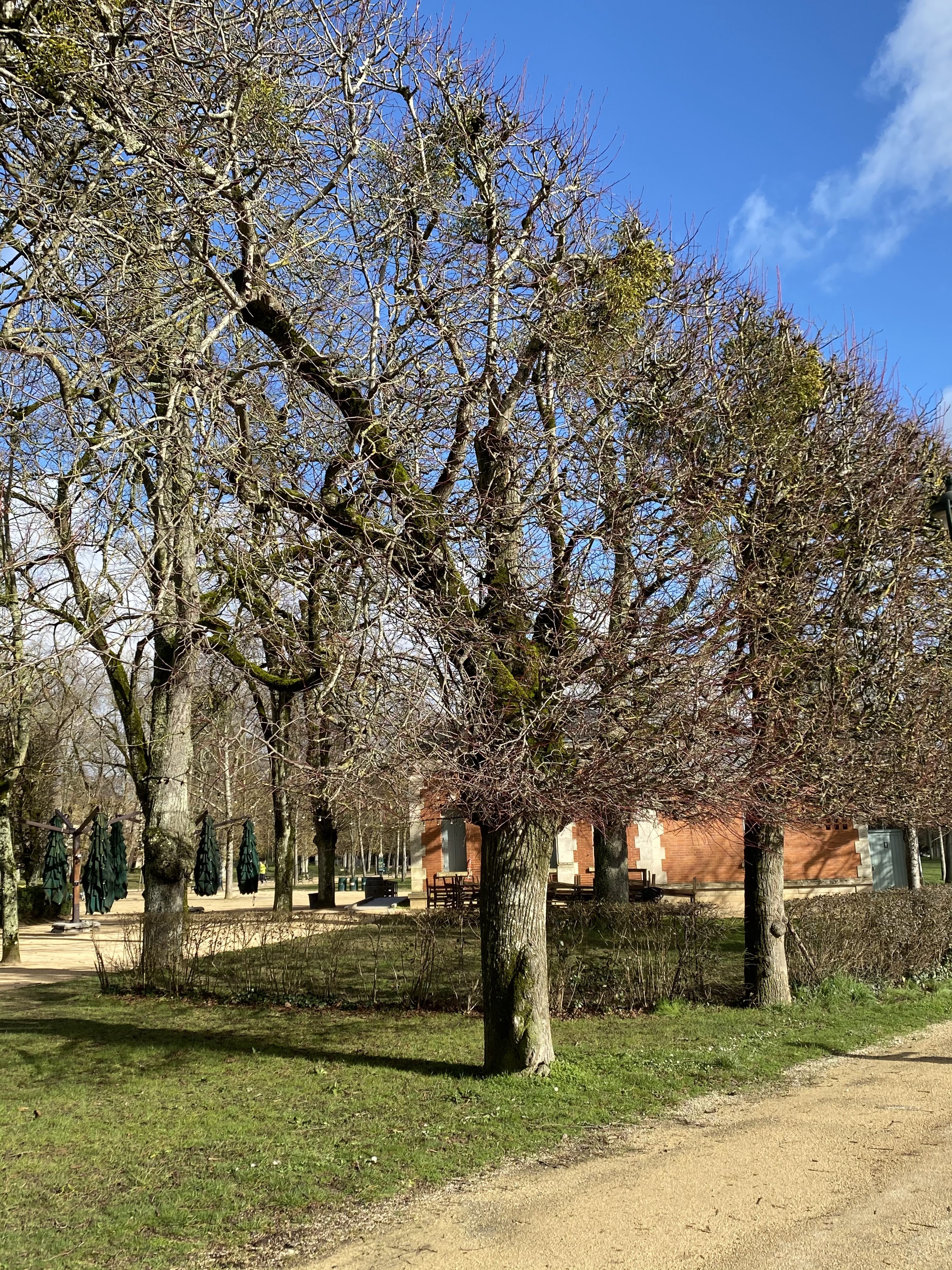 Photo n° 28 de l'avis de Marylène.u fait le 22/03/2022 à 17:15