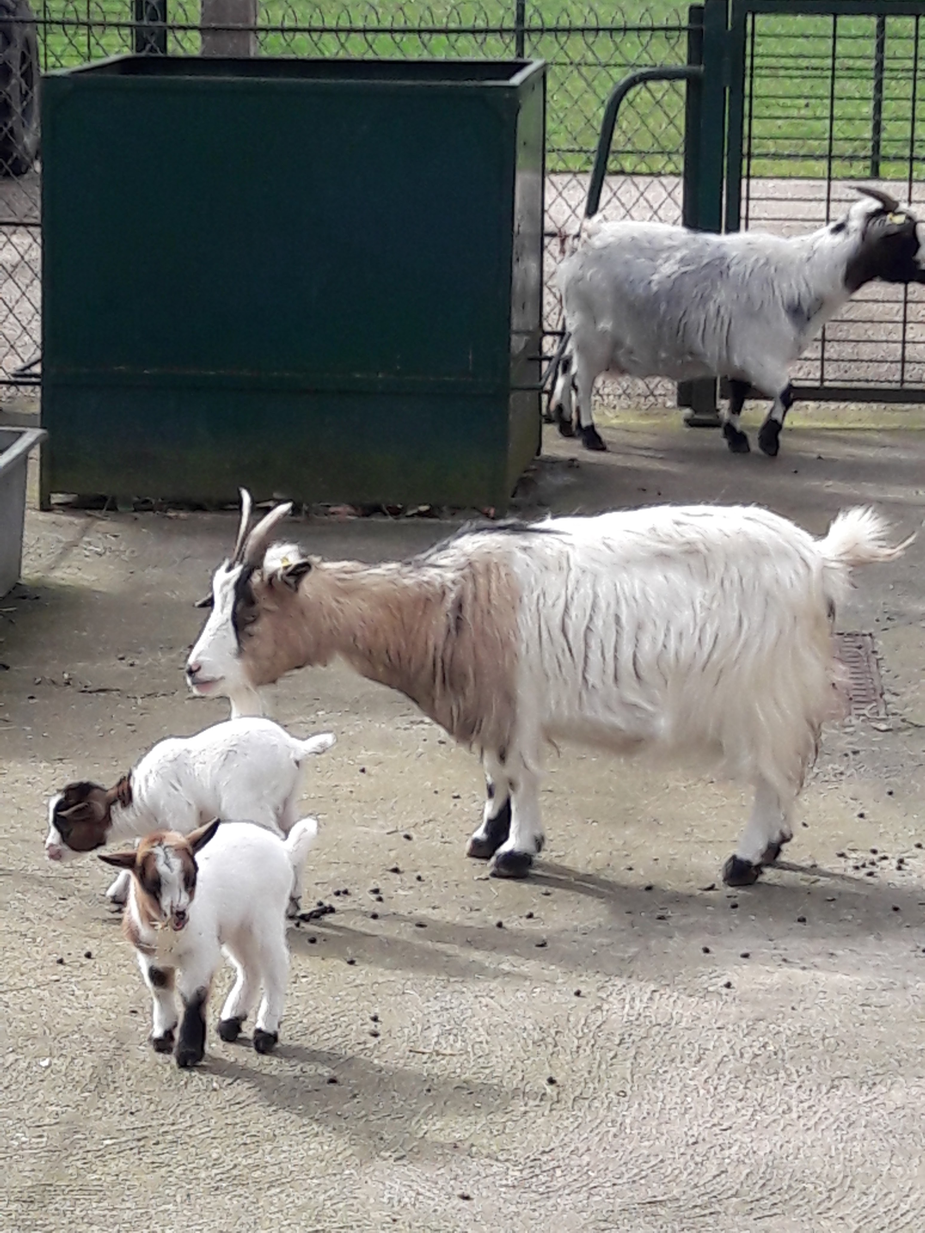 Photo n° 20 de l'avis de BMB.O fait le 14/09/2017 à 07:10