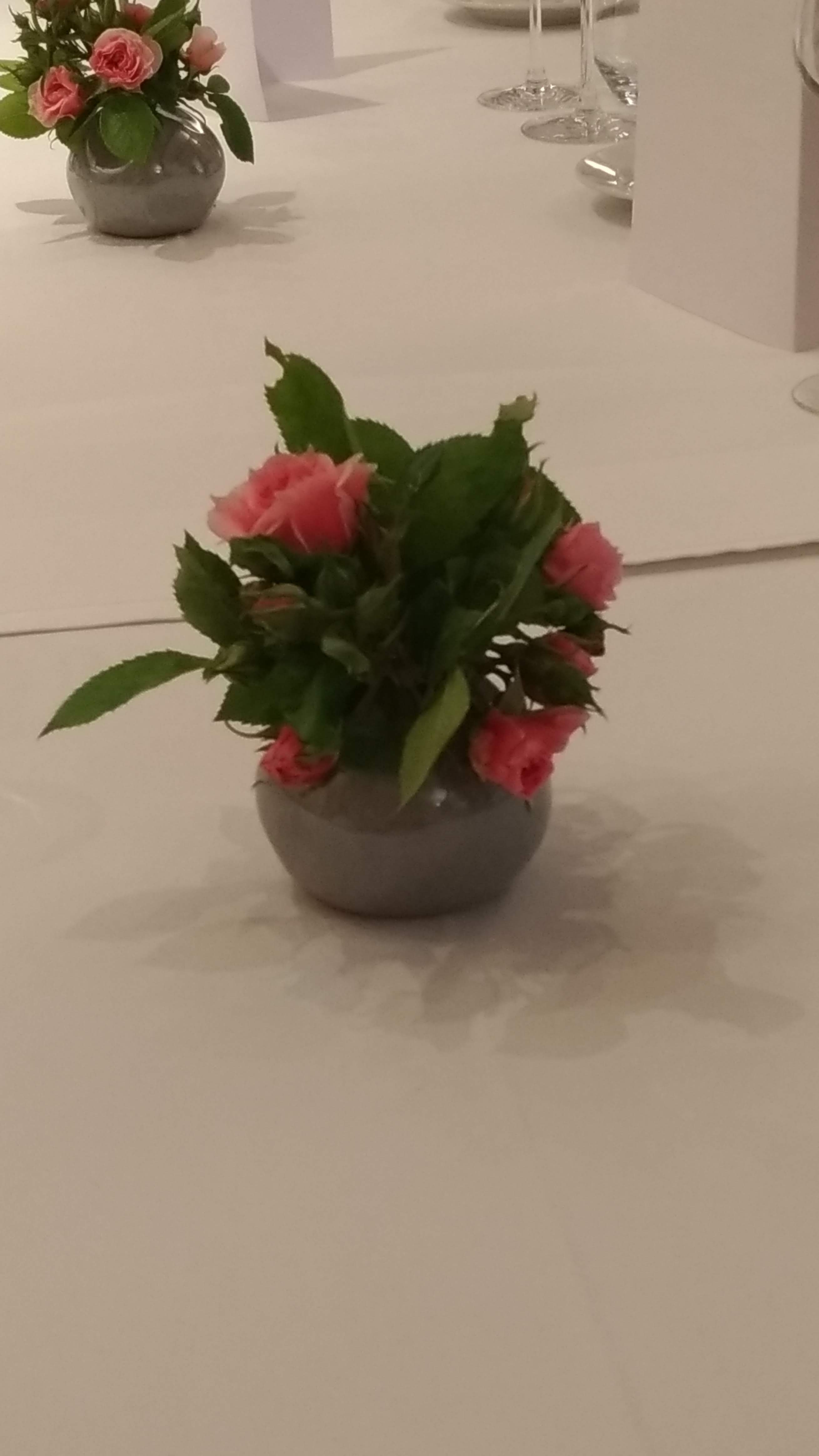 Photo n° 6 de l'avis de sandra.h fait le 19/05/2019 à 16:44
