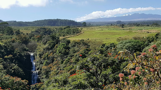 Botanical World Adventures
