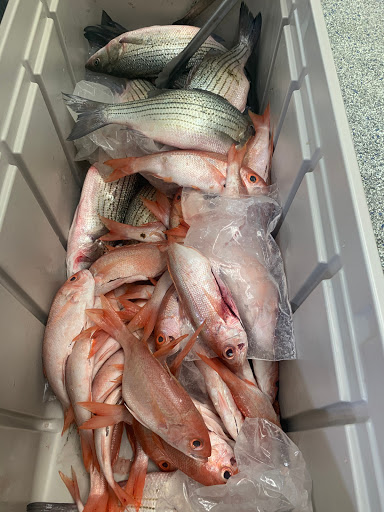 Asian Grocery Store «Saigon Market», reviews and photos, 308 Belmont Ave, Springfield, MA 01108, USA