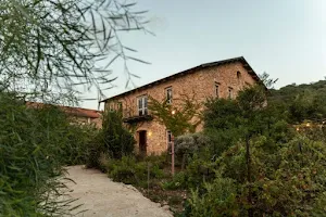 Amphorae Winery image