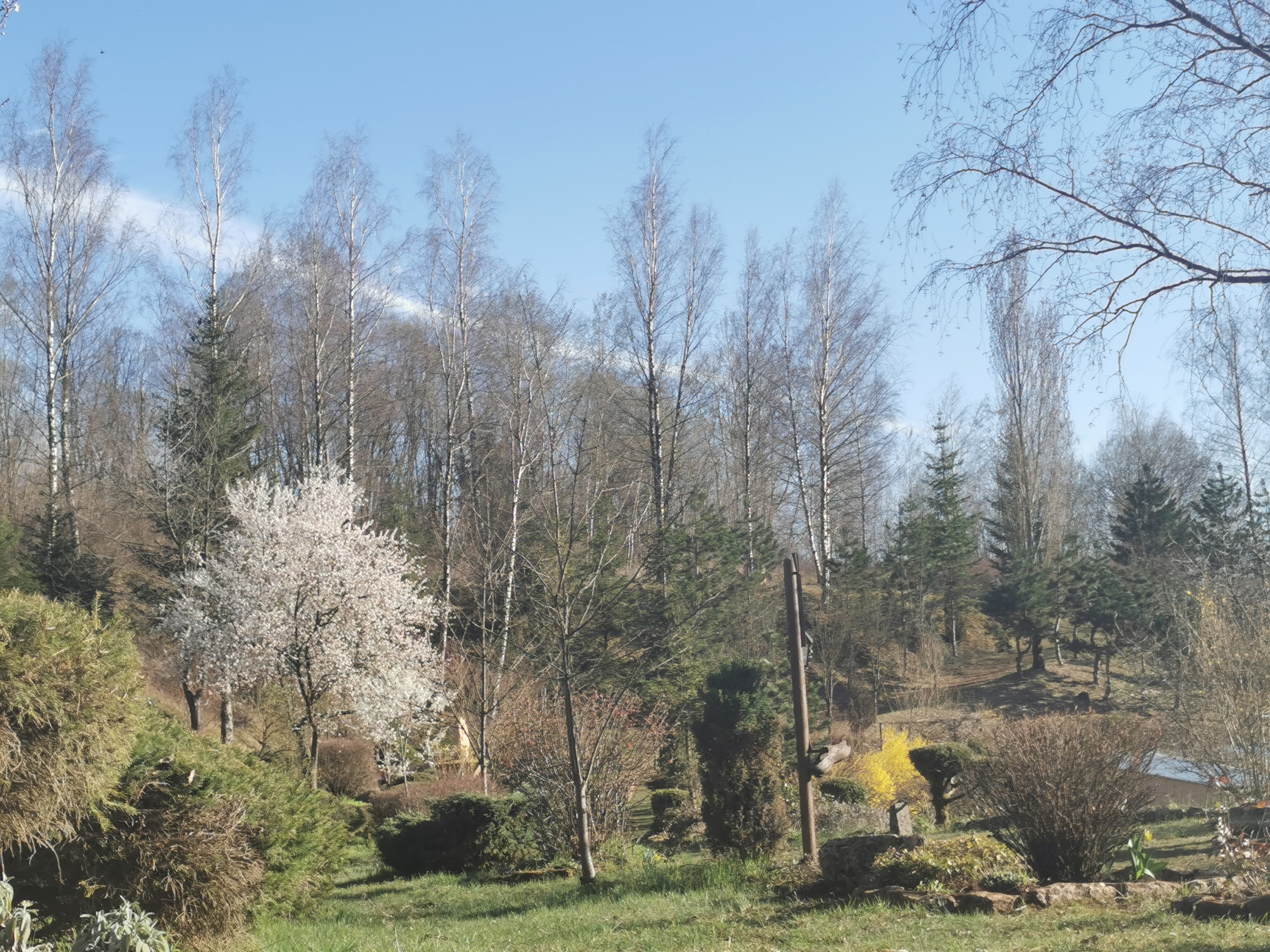 Photo n° 19 de l'avis de Phidis.a fait le 03/07/2019 à 17:43