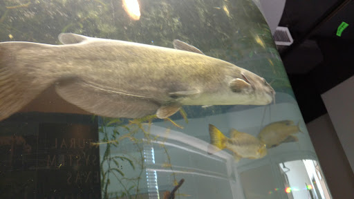 Non-Profit Organization «The Meadows Center for Water and the Environment», reviews and photos, 201 San Marcos Springs Dr, San Marcos, TX 78666, USA