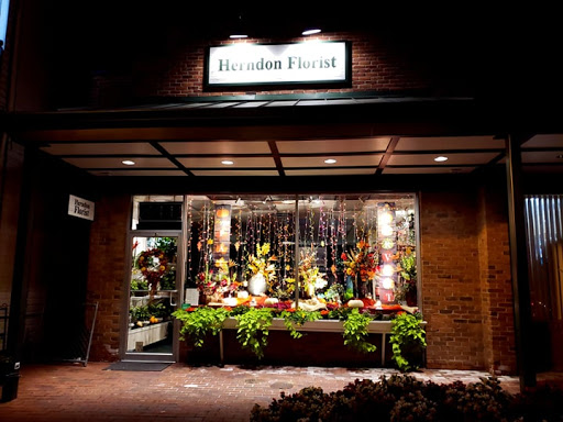 Florist «Herndon Florist, Inc.», reviews and photos, 716 Lynn St, Herndon, VA 20170, USA