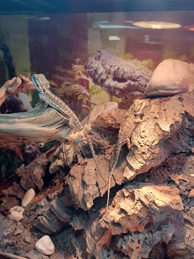 Pet Store «The Pet Works», reviews and photos, 1257 Commerce Ave, Longview, WA 98632, USA