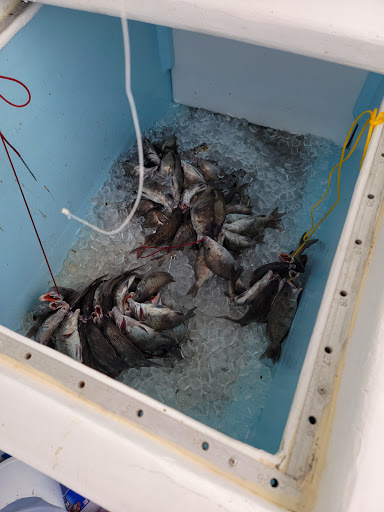 Fishing Charter «Miss Virginia Deep Sea Fishing», reviews and photos, 7847 Bayview St, Port Richey, FL 34668, USA