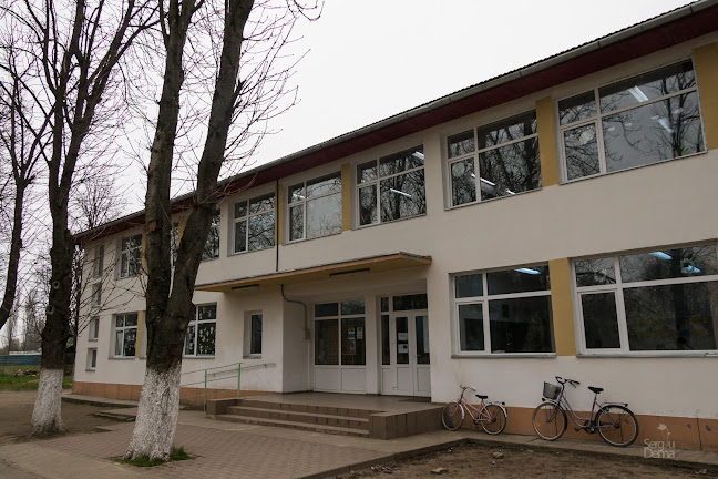Școala Gimnazială Comloșu Mare - structura claselor P-4