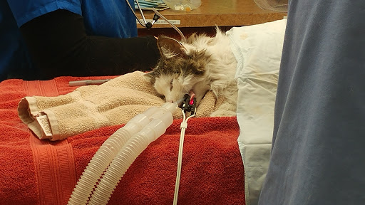 31170 Hoover Rd, Warren, MI 48093, USA