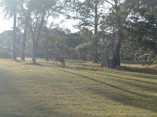 Golf Club «Santa Rosa Golf & Beach Club», reviews and photos, 334 Golf Club Dr, Santa Rosa Beach, FL 32459, USA