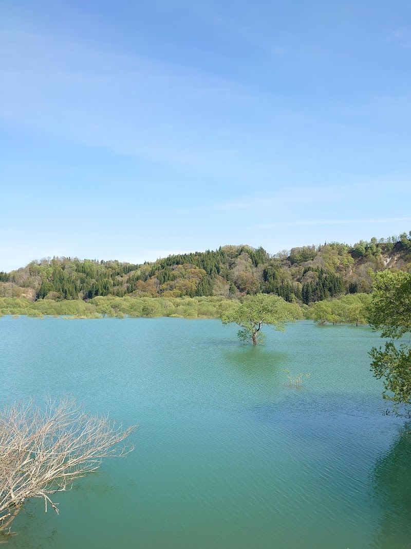 白川ダム湖岸公園