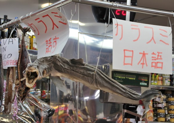 Imagen de Oficina de Turismo Valencia Paz (18 de 23)