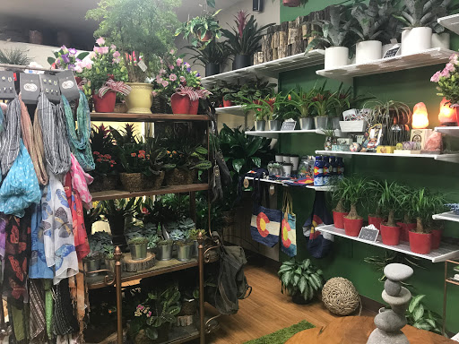 Florist «Cherry Blossoms Florist», reviews and photos, 9975 Wadsworth Pkwy F, Westminster, CO 80021, USA