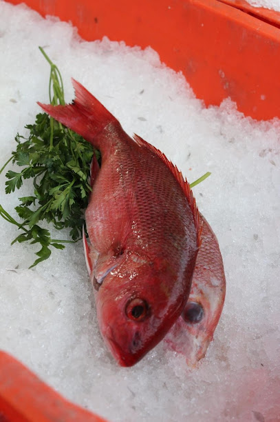 Pescadería la Marina Benito