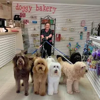 ShamPoochies of Pensacola - Car repair in Pensacola, FL, Pensacola - Rated 4.4/5