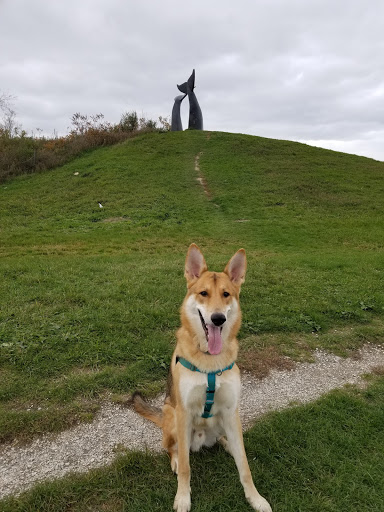 Monument «Reverence (Whales Tails)», reviews and photos, I-89, South Burlington, VT 05403, USA