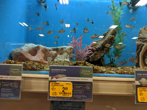 Pet Supply Store «PetSmart», reviews and photos, 2940 Chapel Hill Rd, Douglasville, GA 30135, USA