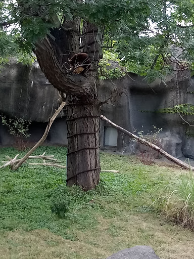 Museum «Curwood Castle Museum», reviews and photos, 224 Curwood Castle Dr, Owosso, MI 48867, USA