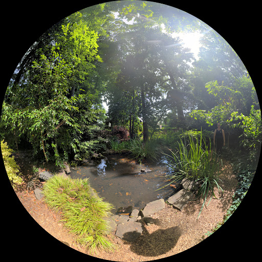 Garden «Wing Haven», reviews and photos, 248 Ridgewood Ave, Charlotte, NC 28209, USA