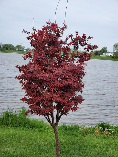 Park «Redmond Park», reviews and photos, 545 John St, Bensenville, IL 60106, USA