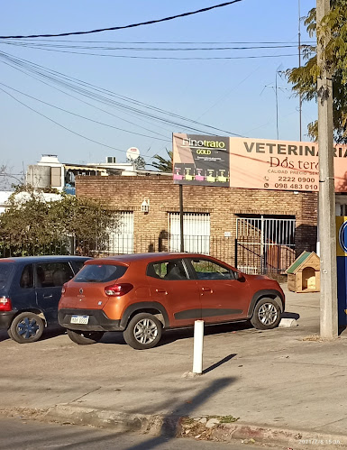 Opiniones de Veterinaria Dos Teros en Cardona - Veterinario