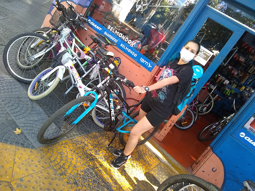 Bicicleteria Andino Bikes